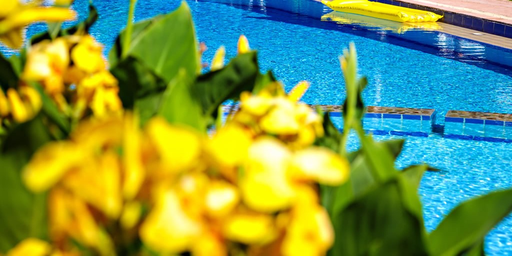 Great swimming pool at Lefka apartments